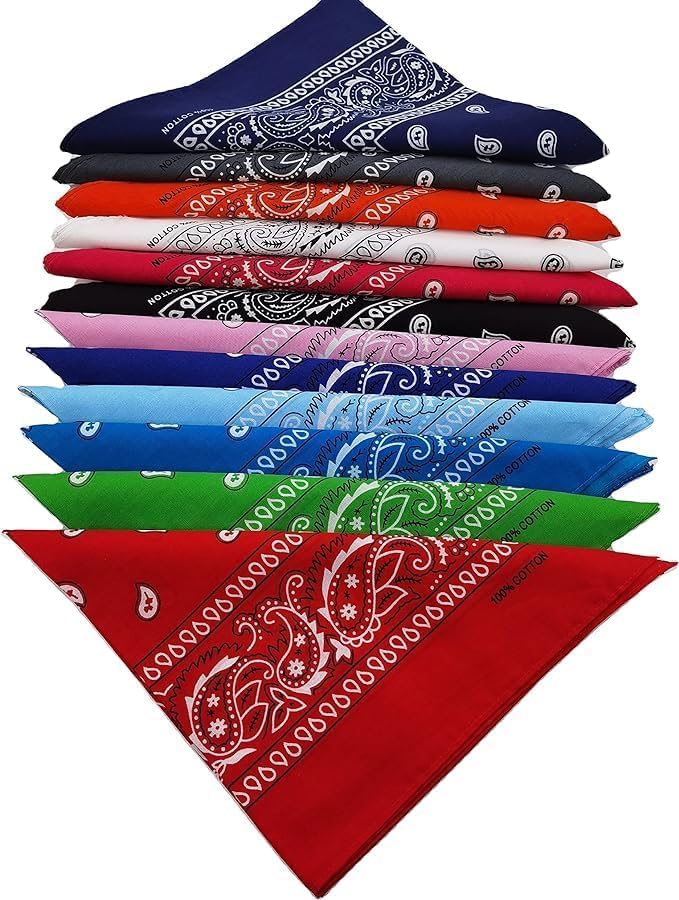 CITYMEMO 100% Cotton Paisley Printed Bandanas 12 PCS 22x22 Inches Large Thick Scarfs Fashion Headwear for Men and Women