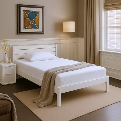 Aidlisi 8 Inch Twin Size Mattress in a Box,Memory Foam Mattress for Comfort Sleep, Cooling Night Sleep &amp; Pressure Relief, Ships Compressed (8", Twin)