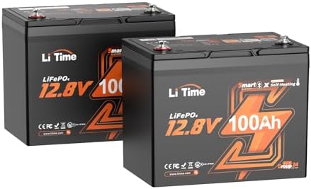 LiTime 12V 100Ah Group 24 Bluetooth LiFePO4 Lithium Deep Cycle Battery with Self Heating &amp; Low-Temp Protection, Max. 15000 Cycles, Perfect for RV, Solar System, Trolling Motors etc (2 Pack)